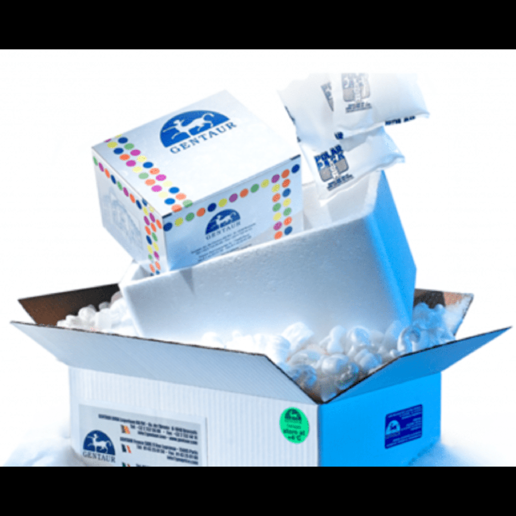 Antisize:Mouse Klotho IgG, aff pure, 100 µg