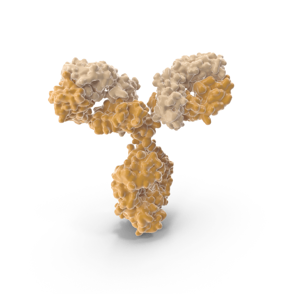 Mouse Monoclonal [clone TC2] (IgG1) to Human SELPLG / PSGL-1 / CD162